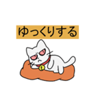 顔が怖い？ねこくん（個別スタンプ：25）