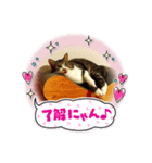 じぇいメロ（個別スタンプ：8）