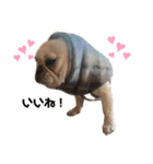 真育と大尊♡第7弾♡（個別スタンプ：6）