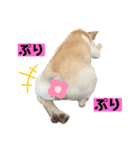 真育と大尊♡第7弾♡（個別スタンプ：8）