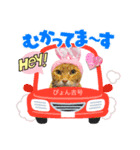 猫のぴょん吉ひろし（個別スタンプ：1）