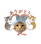 猫のぴょん吉ひろし（個別スタンプ：5）