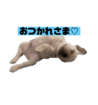 真育と大尊♡第8弾♡ベビタン編（個別スタンプ：1）
