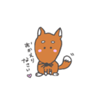柴犬 挨拶スタンプ（個別スタンプ：3）
