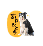 モカ＆トトロ（個別スタンプ：2）