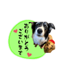 モカ＆トトロ（個別スタンプ：3）