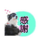 モカ＆トトロ（個別スタンプ：4）