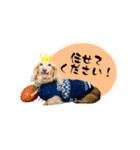 モカ＆トトロ（個別スタンプ：8）