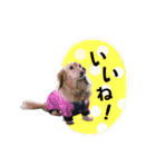 モカ＆トトロ（個別スタンプ：10）