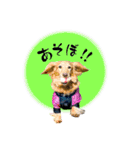 モカ＆トトロ（個別スタンプ：11）