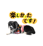 モカ＆トトロ（個別スタンプ：14）