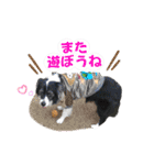 モカ＆トトロ（個別スタンプ：15）