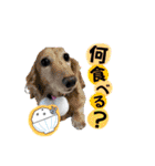 モカ＆トトロ（個別スタンプ：16）