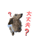 モカ＆トトロ（個別スタンプ：18）