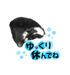 モカ＆トトロ（個別スタンプ：19）
