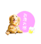 モカ＆トトロ（個別スタンプ：20）