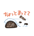 もりの こりす 1（個別スタンプ：13）