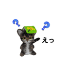 楽しいねこちゃんだニャン（個別スタンプ：1）