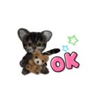 楽しいねこちゃんだニャン（個別スタンプ：2）