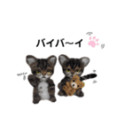 楽しいねこちゃんだニャン（個別スタンプ：3）