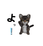 楽しいねこちゃんだニャン（個別スタンプ：5）