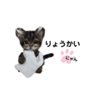 楽しいねこちゃんだニャン（個別スタンプ：6）