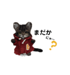 楽しいねこちゃんだニャン（個別スタンプ：7）