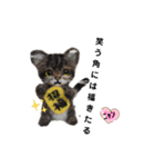 楽しいねこちゃんだニャン（個別スタンプ：20）