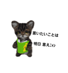 楽しいねこちゃんだニャン（個別スタンプ：22）