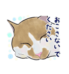 かわいくてごめん♡なねこにゃんず（個別スタンプ：15）