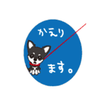 チワワ（BT）と一緒に（個別スタンプ：13）