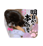 あにまるママの幸せ（個別スタンプ：4）
