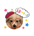 ハニ子ちゃん♡（個別スタンプ：4）