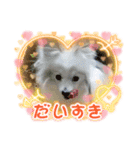 ハニ子ちゃん♡（個別スタンプ：5）