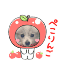 ハニ子ちゃん♡（個別スタンプ：6）