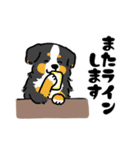 相槌dogs.（個別スタンプ：2）