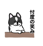 相槌dogs.（個別スタンプ：25）