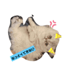 ラガマフィンのマフィンさん（個別スタンプ：2）