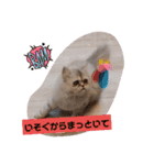 ラガマフィンのマフィンさん（個別スタンプ：6）