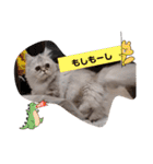 ラガマフィンのマフィンさん（個別スタンプ：13）