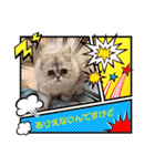 ラガマフィンのマフィンさん（個別スタンプ：16）