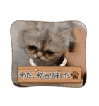 ラガマフィンのマフィンさん（個別スタンプ：18）