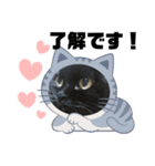 黒猫とシルバー猫の戯れ（個別スタンプ：7）