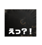 黒猫とシルバー猫の戯れ（個別スタンプ：11）