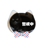 黒猫とシルバー猫の戯れ（個別スタンプ：15）