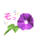 ♪♪普段使いのお花と挨拶♪♪（個別スタンプ：9）