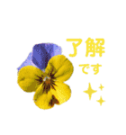 ♪♪普段使いのお花と挨拶♪♪（個別スタンプ：13）