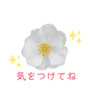 ♪♪普段使いのお花と挨拶♪♪（個別スタンプ：21）