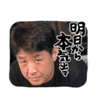 なかまたちだよー（個別スタンプ：13）