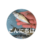 fishingスタンプ1（個別スタンプ：5）